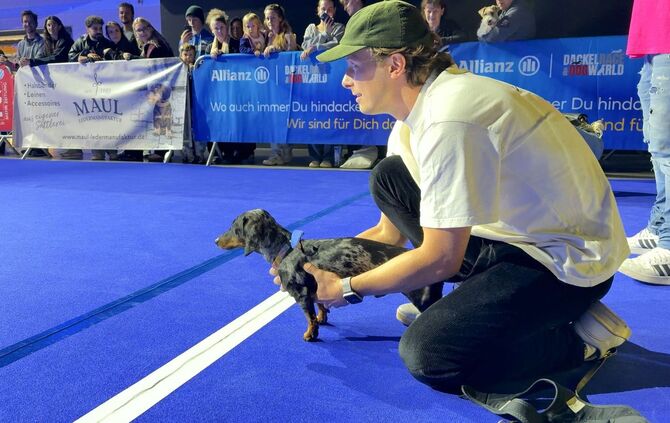 Hundemesse «DogWorld» mit Dackelrennen