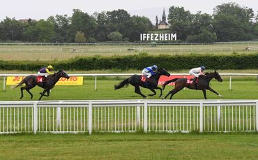 Galopp