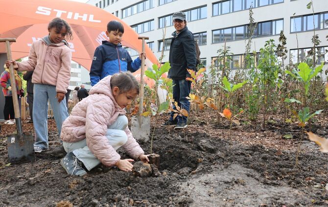 Auch am Montag durften die Schulkinder noch den ein oder anderen Baum pflanzen.