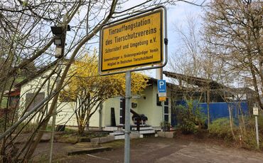 Im Tierheim Schorndorf muss, nach der gefeierten Fertigstellung des Neubaus, das Bestandsgebäude saniert werden.