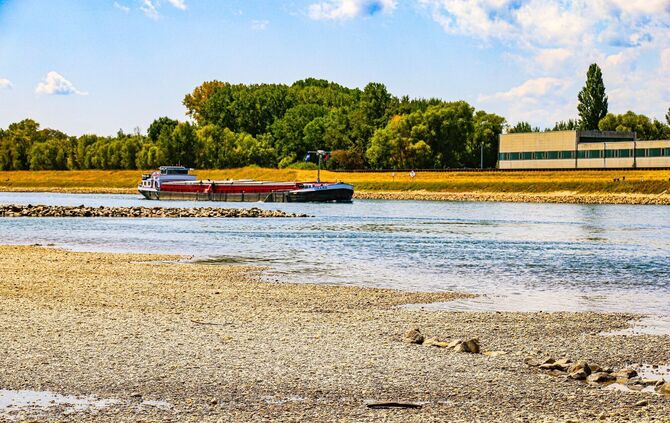 Niedrigwasser am Rhein