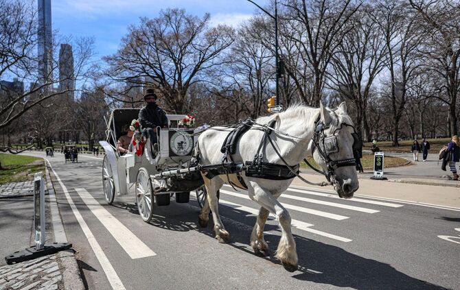 Aus für die Pferdekutschen im New Yorker Central Park