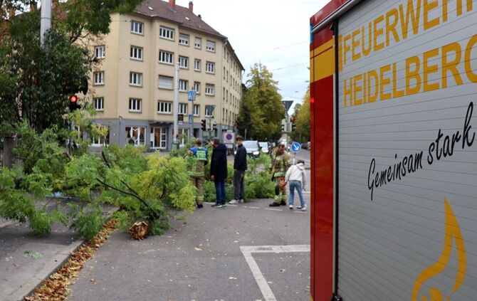 Sturmtief «Luise» - Heidelberg