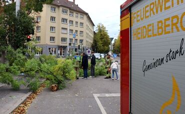 Sturmtief «Luise» - Heidelberg