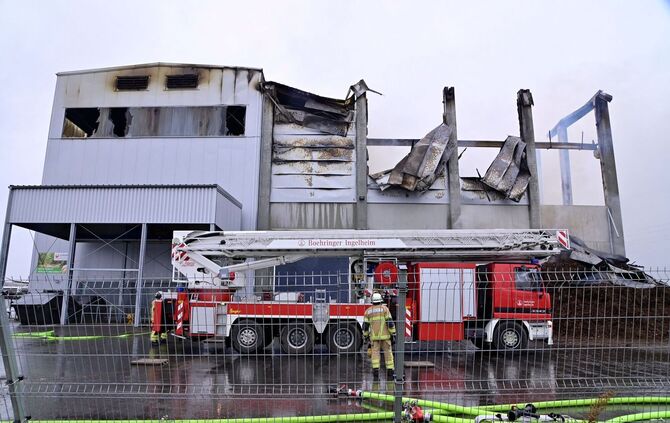 Millionenschaden bei Feuer in Gemüsebetrieb