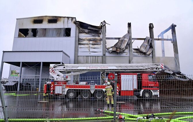 Millionenschaden bei Feuer in Gemüsebetrieb