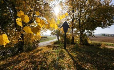 DWD-Vorhersage: Viel Sonne am Dienstag in Baden-Württemberg. (Archivbild)
