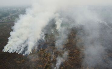 Waldbrände in Indonesien