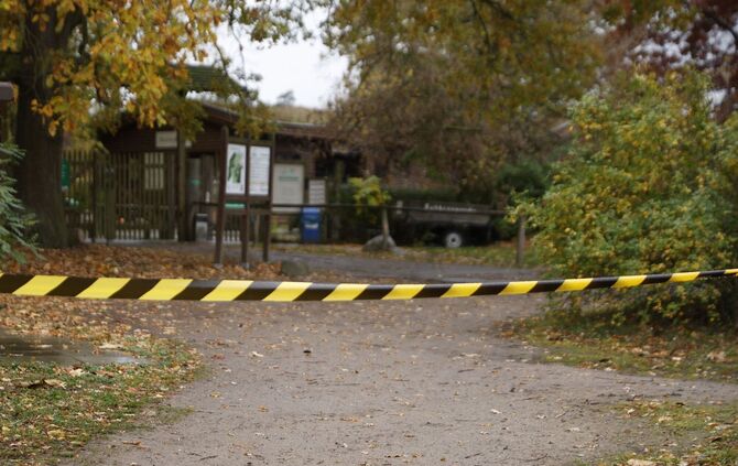 Wolf soll Kind im Wildpark Johannismühle angegriffen haben