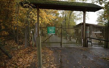 Wolf greift Kind in Wildpark an