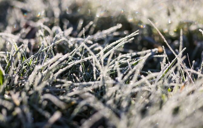 Mancherorts ist Bodenfrost vorhergesagt. (Archivbild)