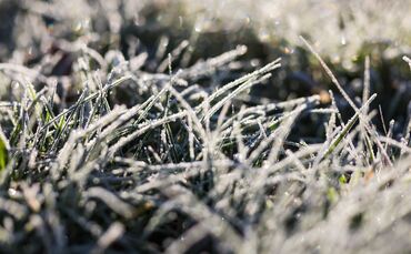 Mancherorts ist Bodenfrost vorhergesagt. (Archivbild)