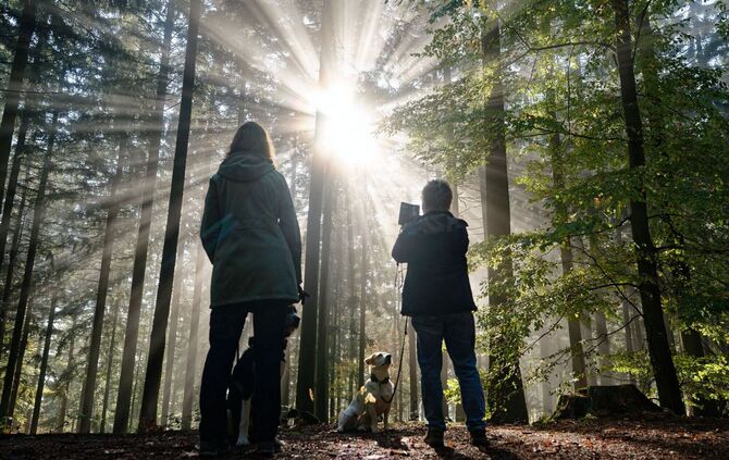 Wetter in Baden-Württemberg