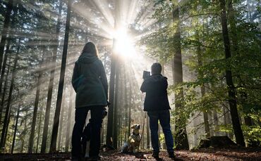 Wetter in Baden-Württemberg