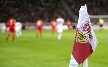 VfB Stuttgart gegen 1. FC Köln (13.10.2017)_0