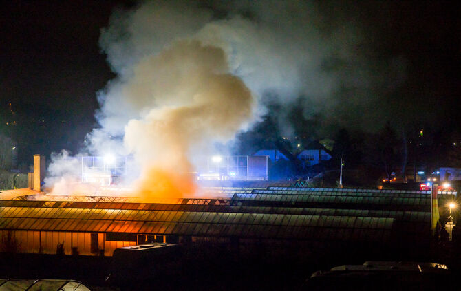 Großbrand in Gärtnerei - Bild 10_9