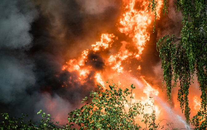 Aktuell: Feuer in Lagerhalle, Fenster und Türen geschlossen halten - Bild 62_2