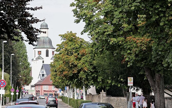 Bäume haben Sonnenbrand_0