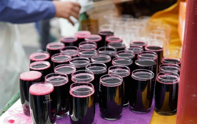 Festumzug Fellbacher Herbst - Bild 04_3