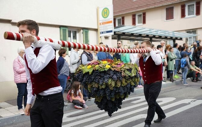Festumzug Fellbacher Herbst - Bild 12_11