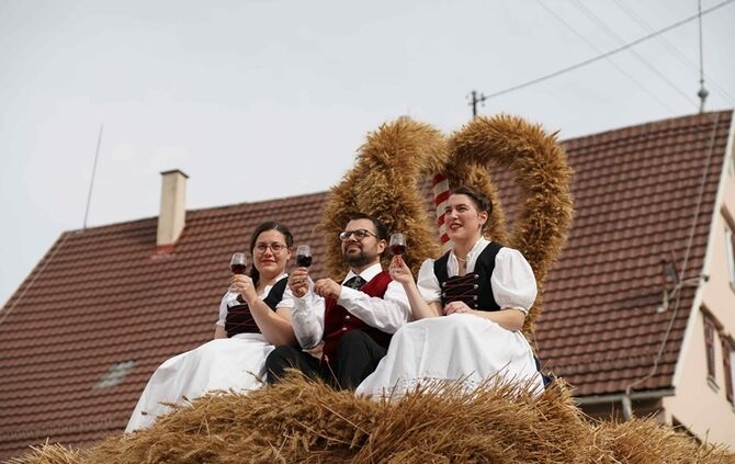 Festumzug Fellbacher Herbst - Bild 14_13