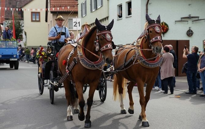 Festumzug Fellbacher Herbst - Bild 15_14
