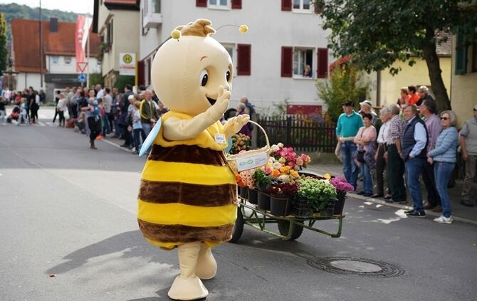 Festumzug Fellbacher Herbst - Bild 22_21