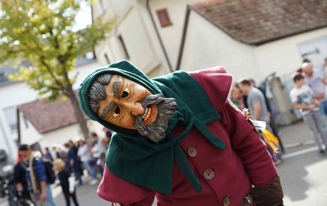 Festumzug Fellbacher Herbst - Bild 29_28