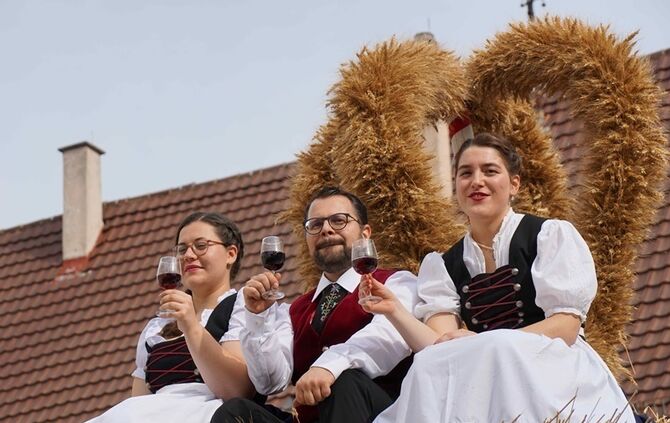 Festumzug Fellbacher Herbst - Bild 30_29