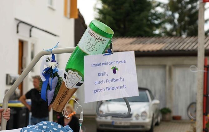 Festumzug Fellbacher Herbst - Bild 36_35