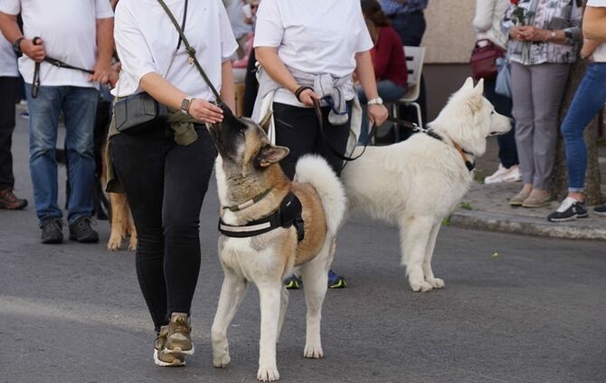 Festumzug Fellbacher Herbst - Bild 57_56