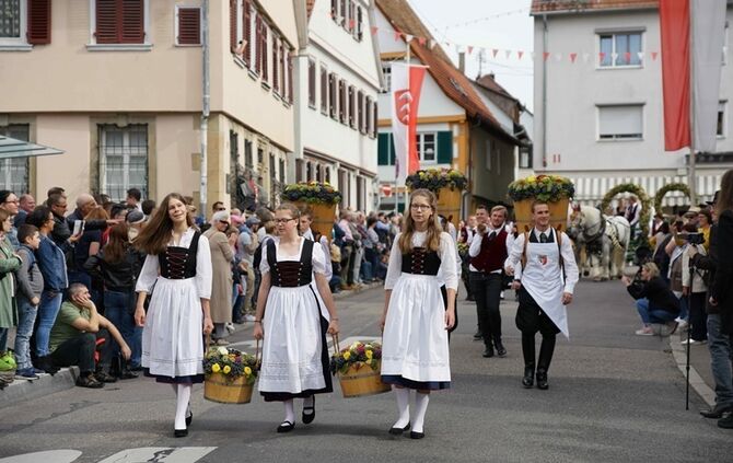 Festumzug Fellbacher Herbst - Bild 60_59