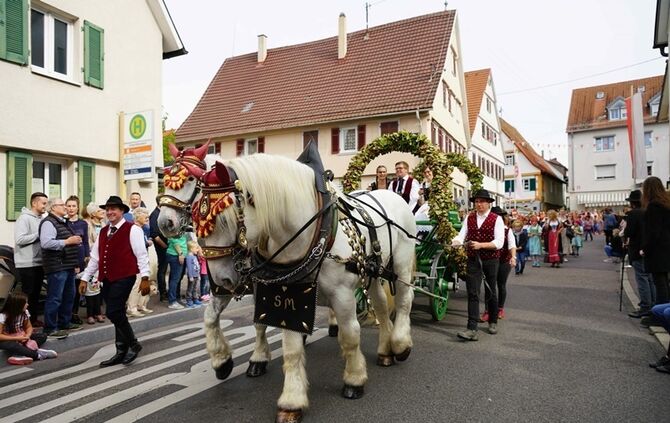 Festumzug Fellbacher Herbst - Bild 61_60