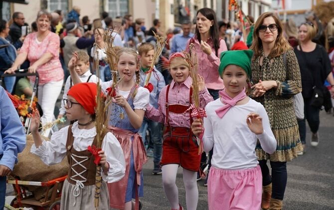 Festumzug Fellbacher Herbst - Bild 65_64