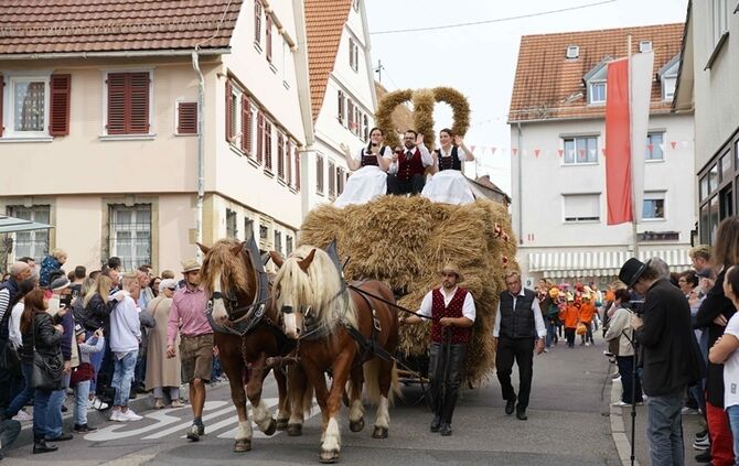Festumzug Fellbacher Herbst - Bild 66_65