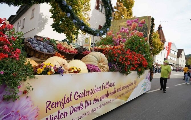 Festumzug Fellbacher Herbst - Bild 77_76