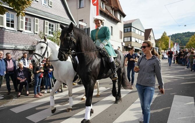 Festumzug Fellbacher Herbst - Bild 78_77