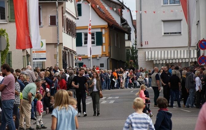 Festumzug Fellbacher Herbst - Bild 83_82