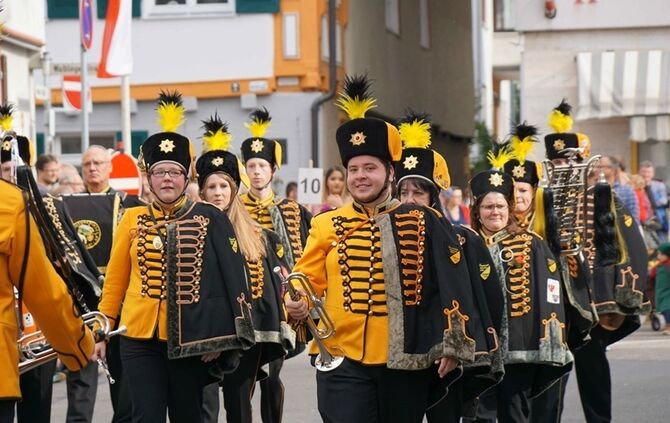 Festumzug Fellbacher Herbst - Bild 85_84