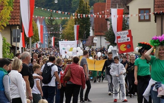 Festumzug Fellbacher Herbst - Bild 86_85