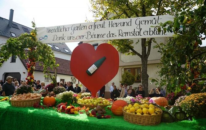 Festumzug Fellbacher Herbst - Bild 88_87