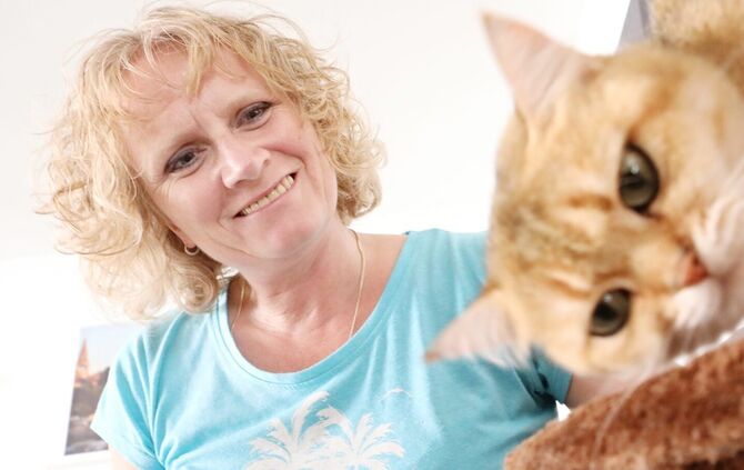Urlaubsbetreuung für Katzen_0