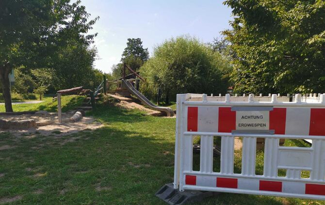 Wespen Wespennest Warnung Spielplatz