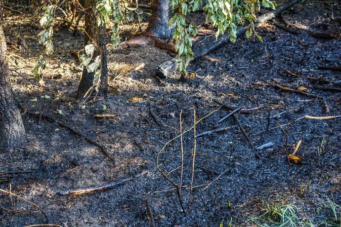 Murrhardt-Schlosshof: 400 qm Wald in Brand – Landwirte helfen mit Wasserfaessern