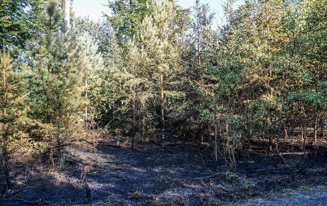 Murrhardt-Schlosshof: 400 qm Wald in Brand – Landwirte helfen mit Wasserfaessern