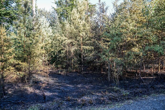 Murrhardt-Schlosshof: 400 qm Wald in Brand – Landwirte helfen mit Wasserfaessern