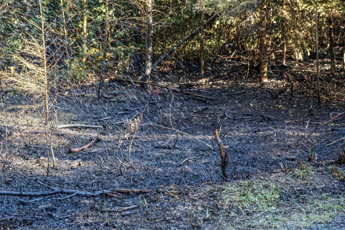 Murrhardt-Schlosshof: 400 qm Wald in Brand – Landwirte helfen mit Wasserfaessern