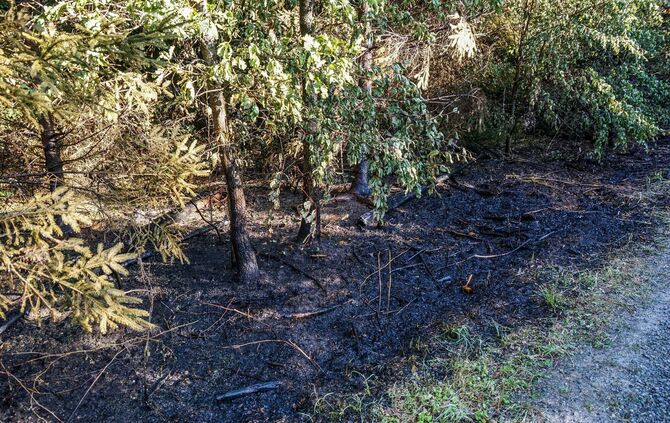 Murrhardt-Schlosshof: 400 qm Wald in Brand – Landwirte helfen mit Wasserfaessern