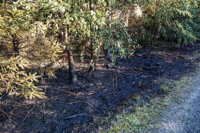 Murrhardt-Schlosshof: 400 qm Wald in Brand – Landwirte helfen mit Wasserfaessern