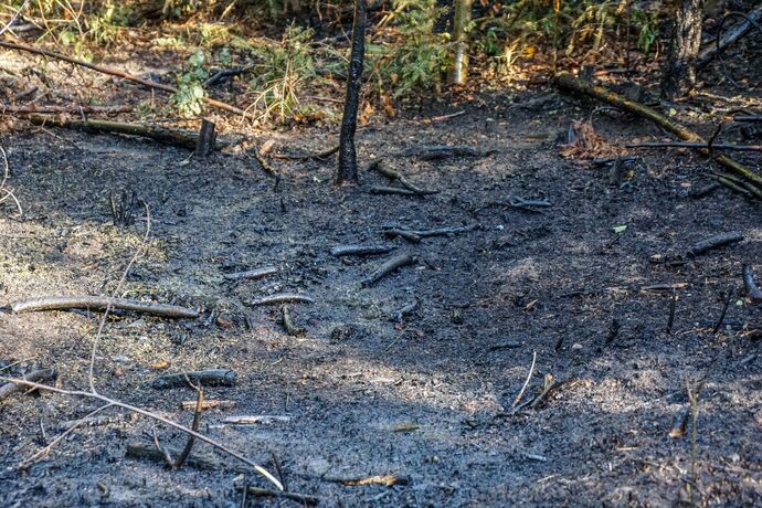 Murrhardt-Schlosshof: 400 qm Wald in Brand – Landwirte helfen mit Wasserfaessern